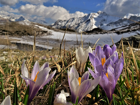 PASSO SAN SIMONE e FORCELLA ROSSA da San Simone-Baita Camoscio - 27apr22- FOTOGALLERY